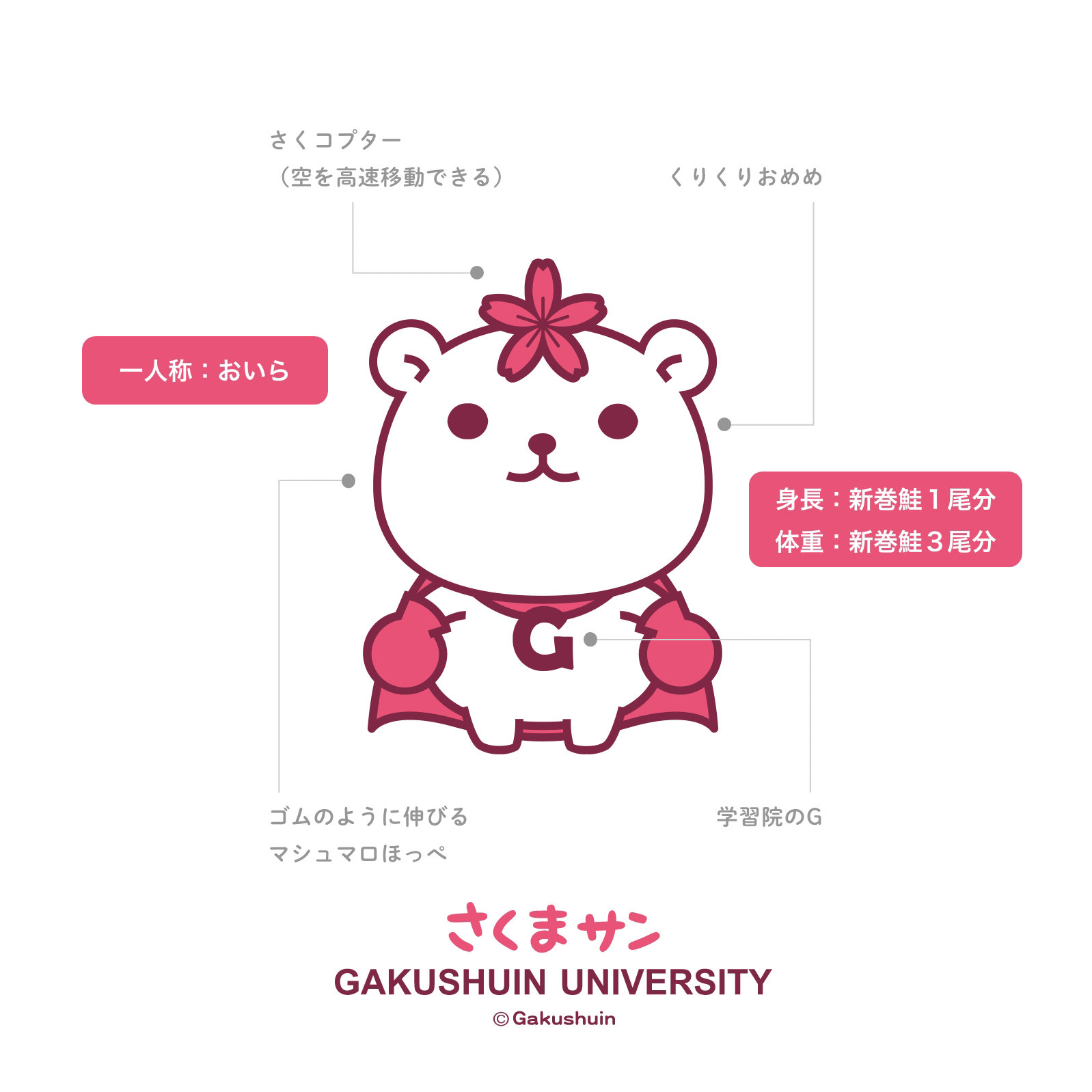 さくまサンの詳細